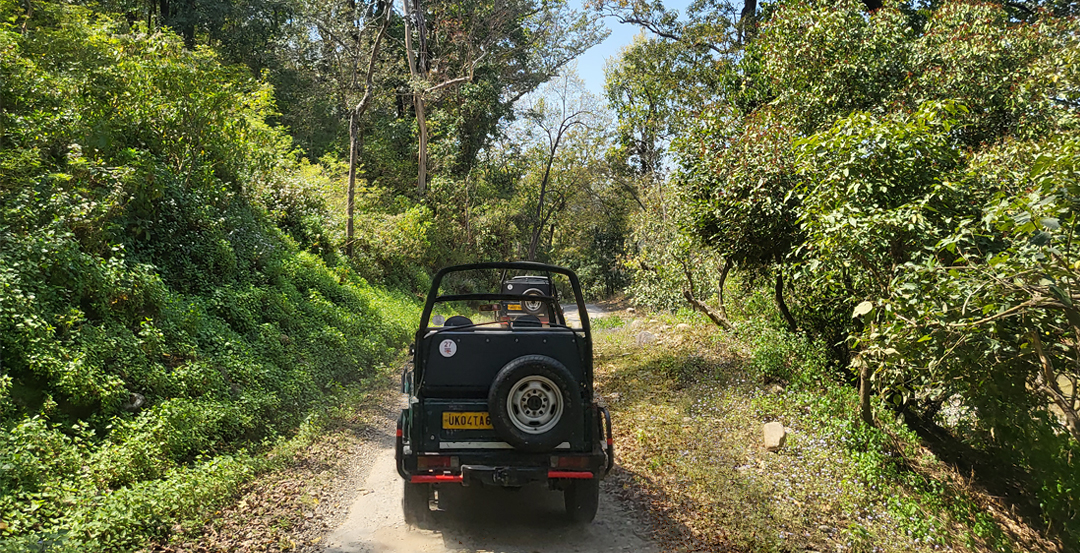 Jim Corbett Phato Zone